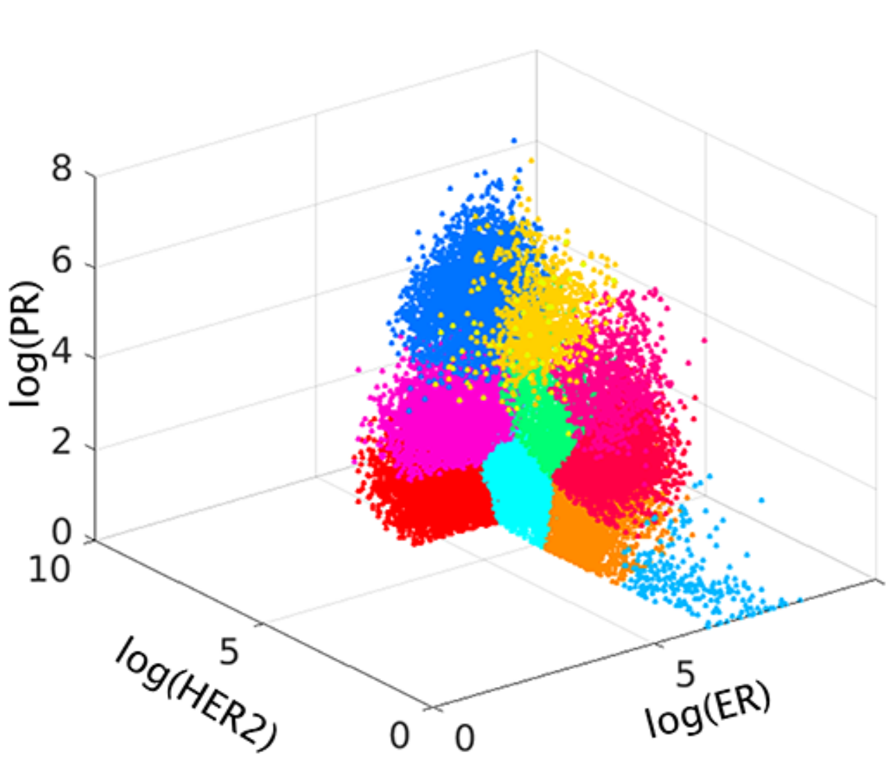 paper